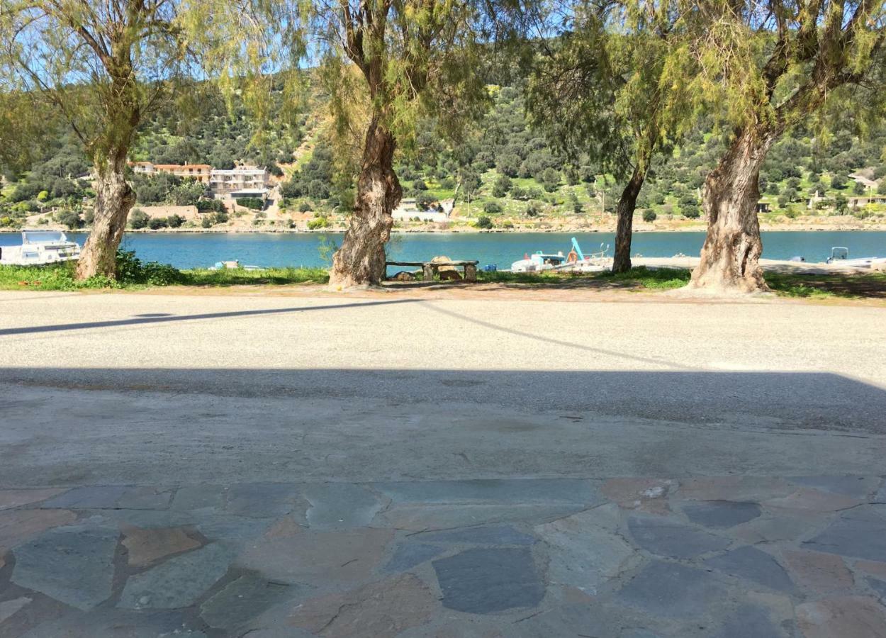 Sea Front Studio - Porto Boufalo - Evia Dış mekan fotoğraf